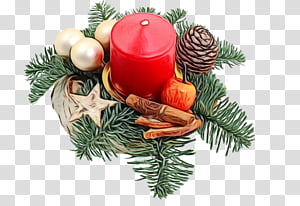 Christmas decoration, Watercolor, Paint, Wet Ink, Colorado Spruce, Tree, Branch, Oregon Pine transparent background PNG clipart thumbnail