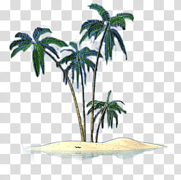 Summer, palm trees and sand transparent background PNG clipart