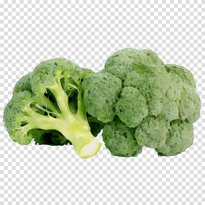 Cauliflower, Watercolor, Paint, Wet Ink, Broccoli, Leaf Vegetable, Cruciferous Vegetables, Food transparent background PNG clipart