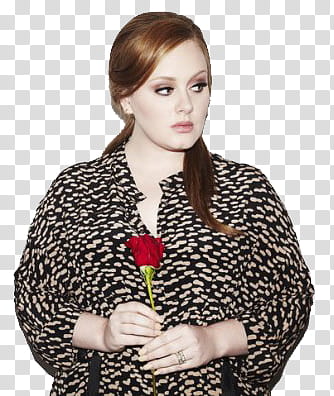 Adele transparent background PNG clipart