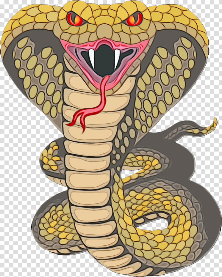 Snake, Rattlesnake, Kingsnakes, Serpent, Insect, Cartoon, Cobra, Membrane transparent background PNG clipart