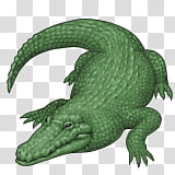 emojis, green crocodile illustration transparent background PNG clipart