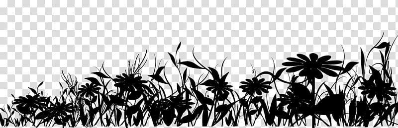Family Tree Silhouette, Grasses, Commodity, Computer, Flower, Branching, Blackandwhite, Grass Family transparent background PNG clipart