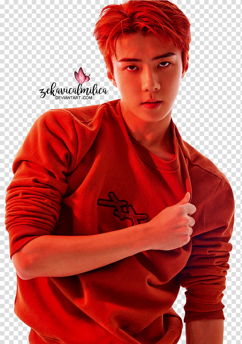 EXO Sehun ARENA HOMME transparent background PNG clipart