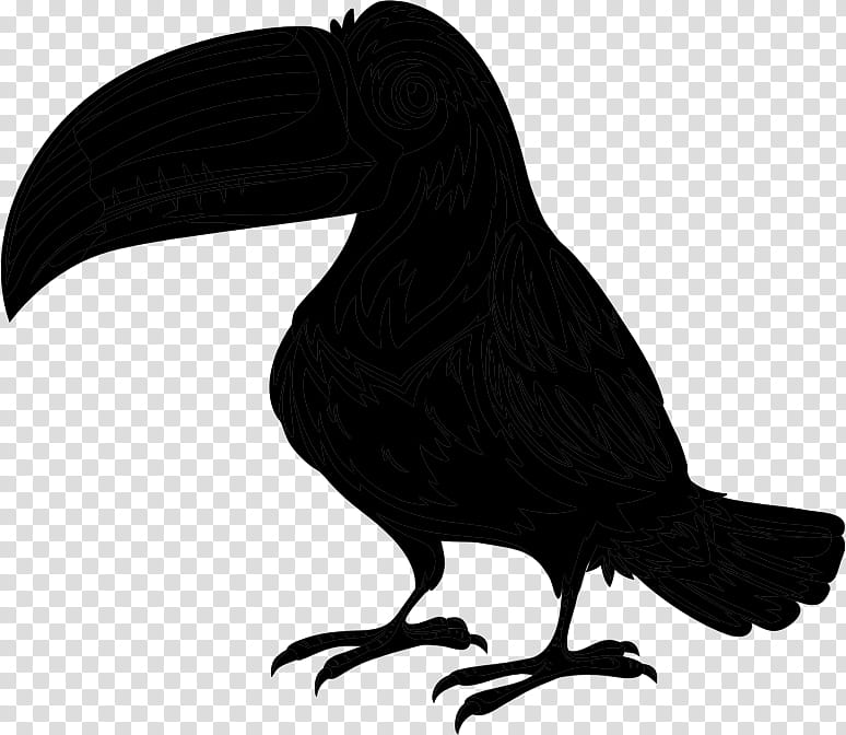 Bird Parrot, Toucan, Piciformes, Drawing, Toucanet, Cartoon, Beak, Raven transparent background PNG clipart