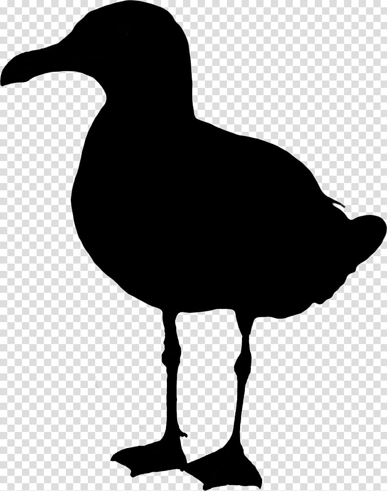 Bird Silhouette, Spotify, Geordie, Song, Deezer, Beak, Gull, Seabird transparent background PNG clipart