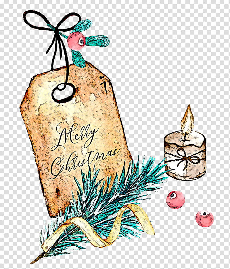 branch fir colorado spruce tree cinnamon stick, Pine Family, Holiday Ornament, Conifer transparent background PNG clipart