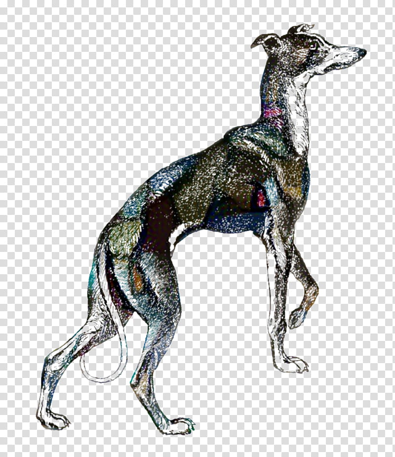 Cartoon Nature, Italian Greyhound, Natural Capital, Whippet, Spanish Greyhound, Sloughi, Bank, Natural Environment transparent background PNG clipart