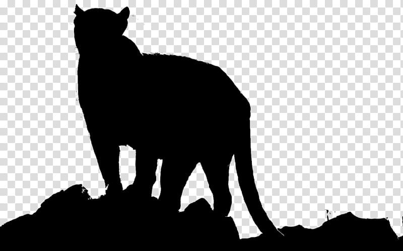 Dog And Cat, Whiskers, Snout, Silhouette, Puma, Black M, Black Cat, Small To Mediumsized Cats transparent background PNG clipart