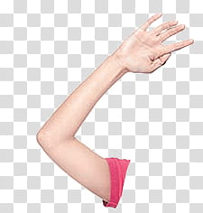 hands, view of person's right arm transparent background PNG clipart