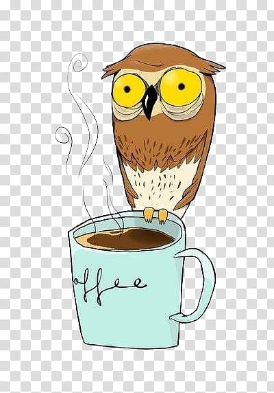 brown owl on blue mug illustration transparent background PNG clipart