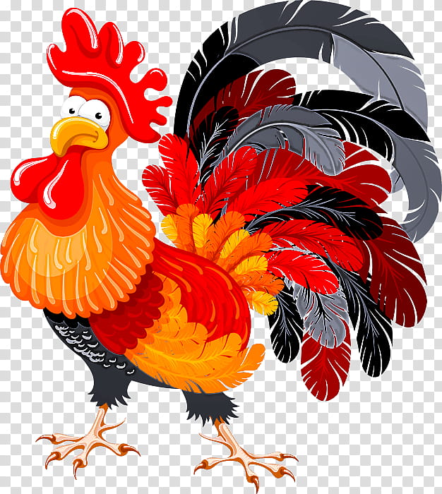 chicken rooster bird comb live, Live, Beak, Poultry transparent background PNG clipart