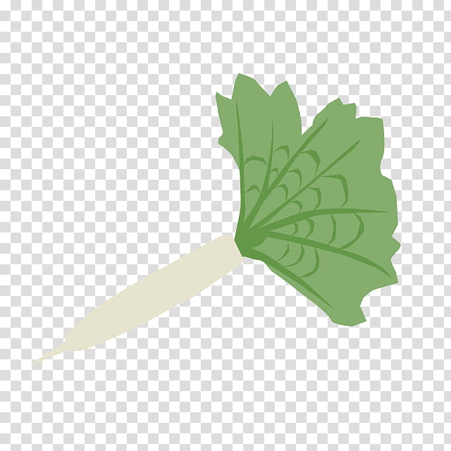 Chinese, Chinese Cabbage, Greens, Chinese Cuisine, Leaf, Radish, Plant Stem, Tree transparent background PNG clipart