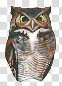 Buhos TrendyLife, brown owl illustration transparent background PNG clipart