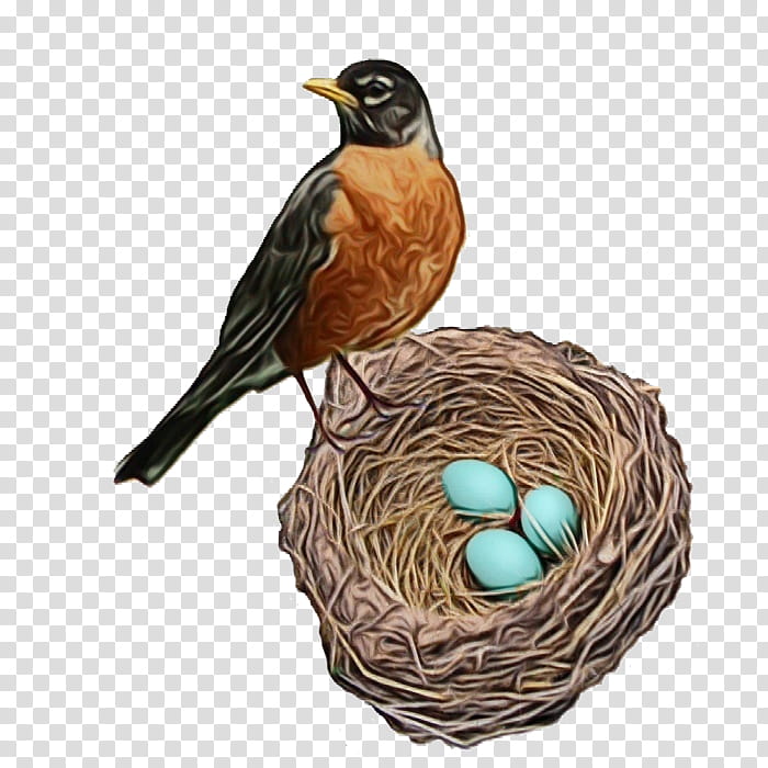 Egg, Watercolor, Paint, Wet Ink, Bird Nest, Robin, Perching Bird, Songbird transparent background PNG clipart
