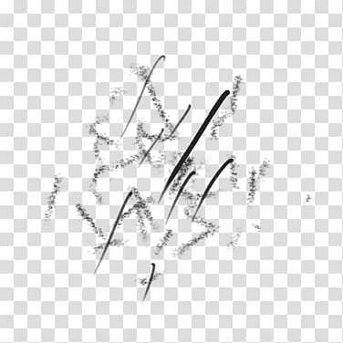 Brushs ALL transparent background PNG clipart