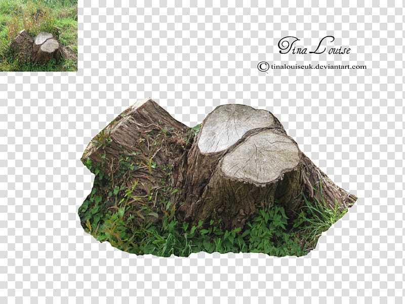Log, brown wood stomp transparent background PNG clipart