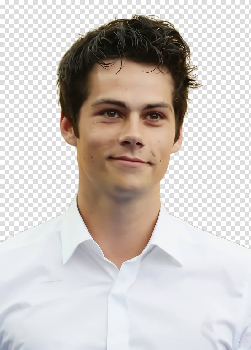 Dylan O Brien, Dylan Obrien, Hair, Chin, Forehead, Whitecollar Worker, Eyebrow, Human transparent background PNG clipart