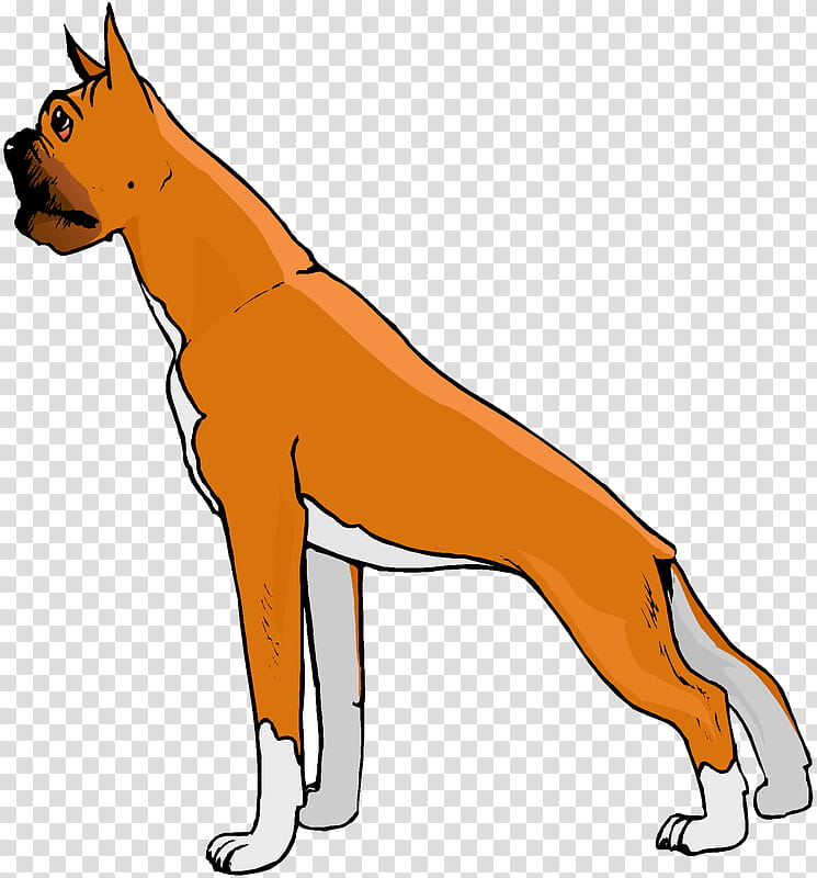 Cat And Dog, Boxer, Pet, Animal, Cartoon, Giant George, Tail, Snout transparent background PNG clipart