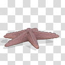 Spore creature Giant pink sea star transparent background PNG clipart