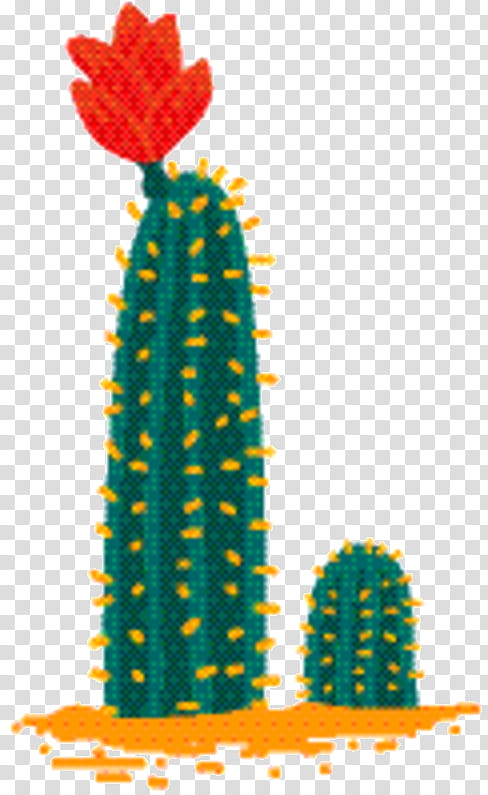Cactus, Flower, Tree, Meter, Saguaro, Plant, Caryophyllales, Succulent Plant transparent background PNG clipart
