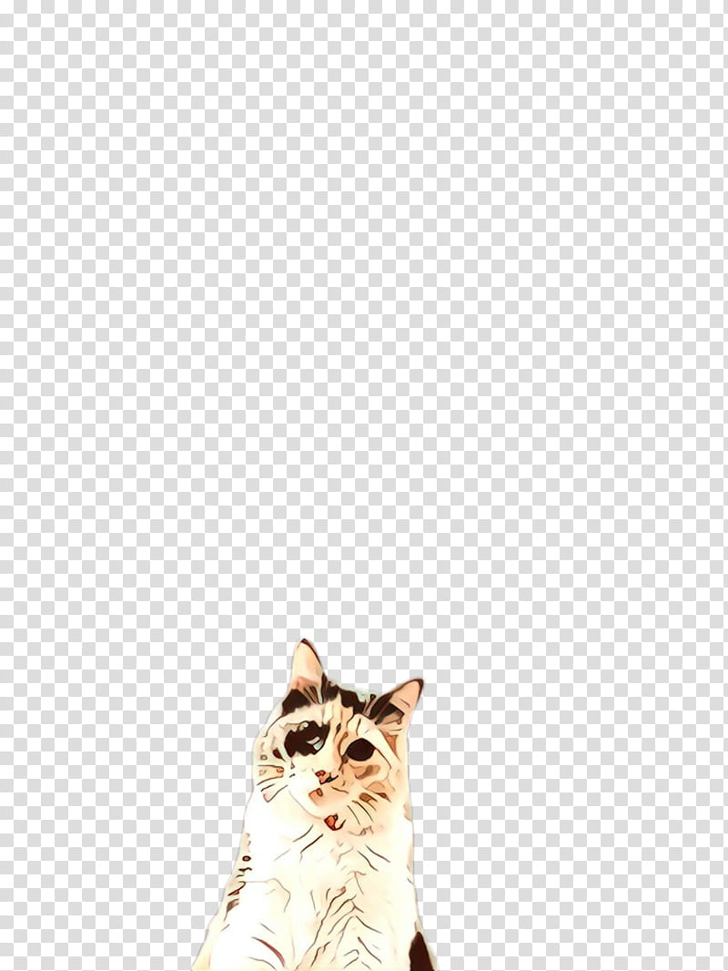 cat small to medium-sized cats white whiskers american wirehair, Cartoon, Small To Mediumsized Cats, TABBY Cat, European Shorthair, Aegean Cat transparent background PNG clipart