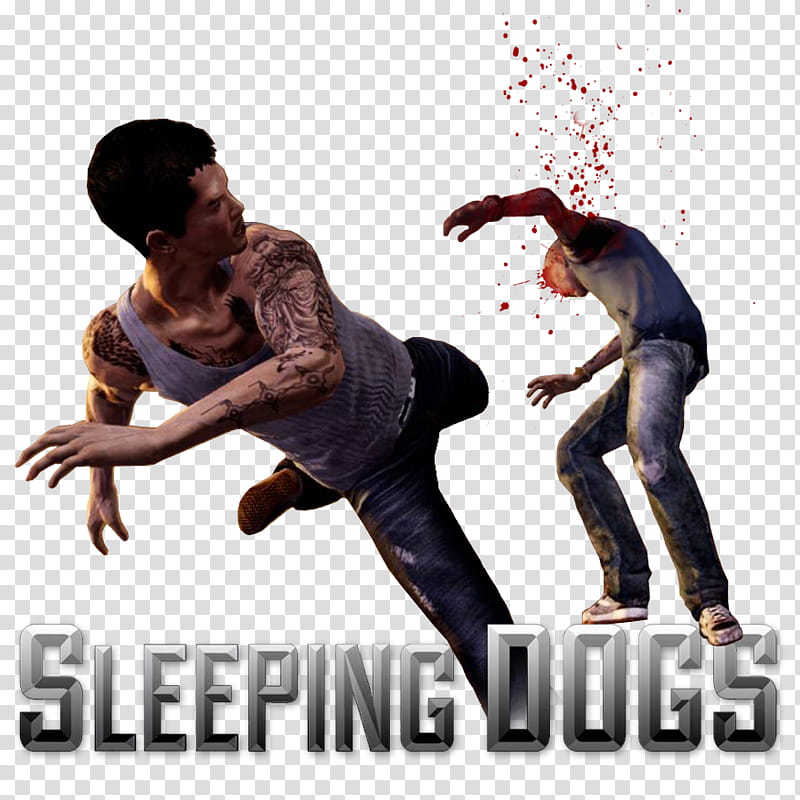 Sleeping Dogs Icons , sleeping-dogs-C, Sleeping Dogs game screenshot transparent background PNG clipart