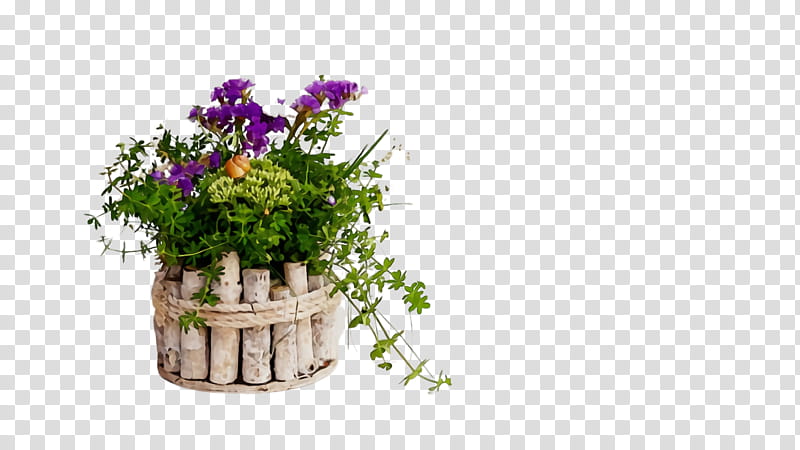flowerpot flower plant cut flowers houseplant, Watercolor, Paint, Wet Ink, Herb, Bellflower, Flowering Plant, Wildflower transparent background PNG clipart