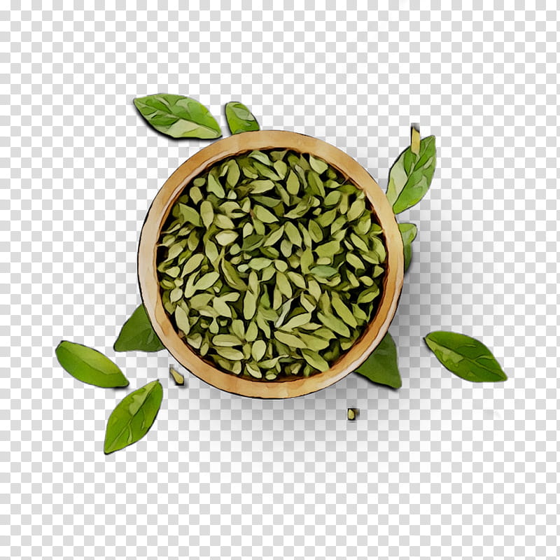 Background Flower, Superfood, Herbalism, Plant, Ingredient, Cuisine, Cardamom, Seed transparent background PNG clipart
