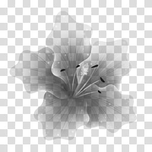 Brushes, closeup of gray flower illustration transparent background PNG clipart