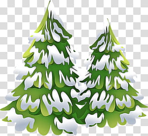 Christmas tree, Colorado Spruce, Oregon Pine, White Pine, Christmas Decoration, Green, Leaf, Shortleaf Black Spruce transparent background PNG clipart thumbnail