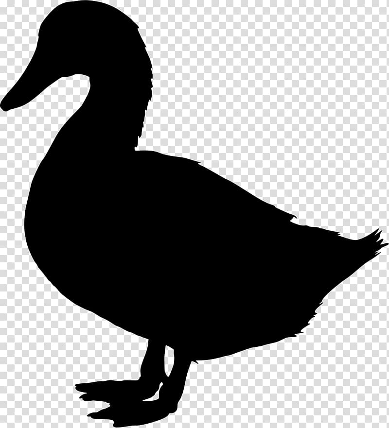 Cartoon Bird, Duck, Drawing, Beak, Water Bird, Ducks Geese And Swans ...