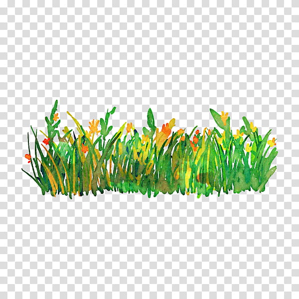 Green Grass, Watercolor Painting, Drawing, Aquarium Decor, Plant, Hornwort, Fish Supply, Pet Supply transparent background PNG clipart