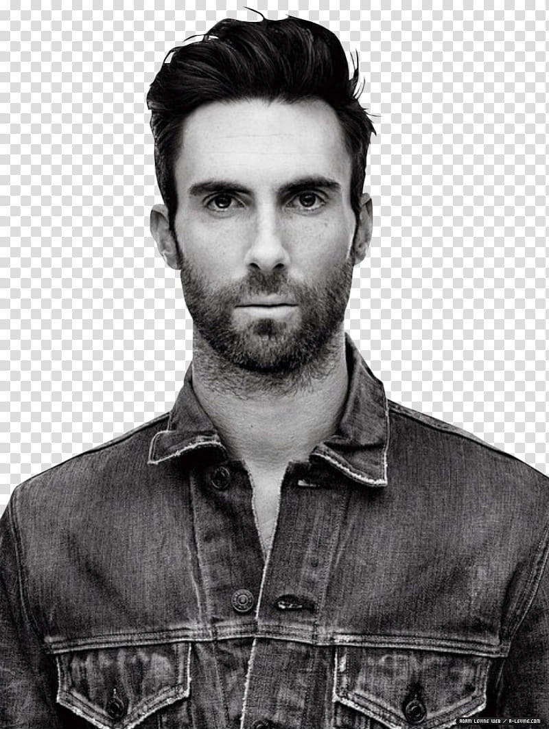 Adam Levine , _ transparent background PNG clipart