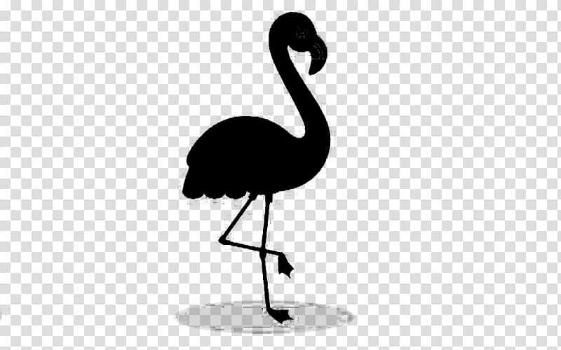 Flamingo Silhouette, Common Ostrich, Bird, Crane, Beak, Water Bird, Flightless Bird, Ratite transparent background PNG clipart