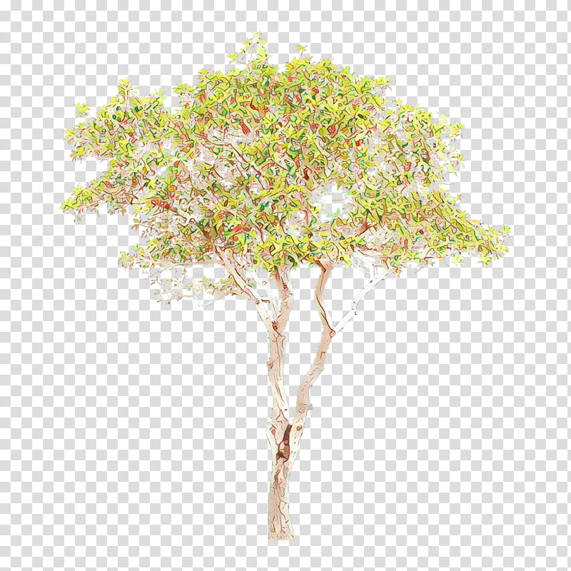 Christmas Tree Branch, Sweet Osmanthus, Twig, Plants, Neem Tree, Forest, Shrub, Devilwood transparent background PNG clipart