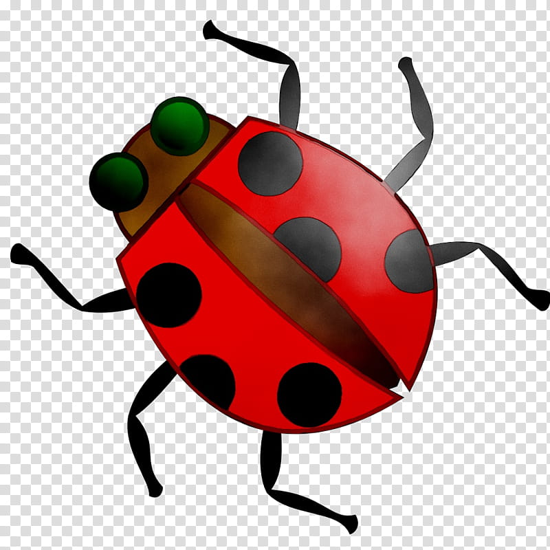 Ladybird, Ladybird Beetle, Cartoon, Animation, Firefly, Drawing, Insect, Ladybug transparent background PNG clipart
