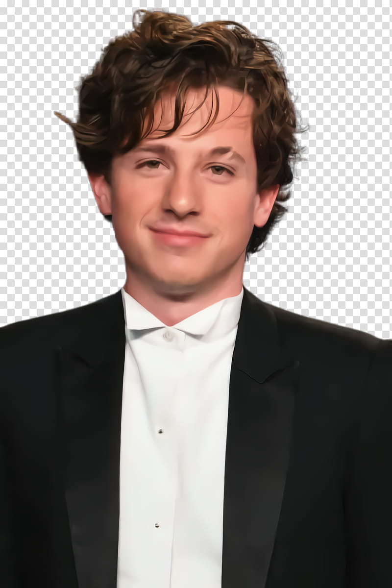 Hair, Charlie Puth, Singer, Hairstyle, Celebrity, Hair Coloring, Long Hair, 2019 transparent background PNG clipart