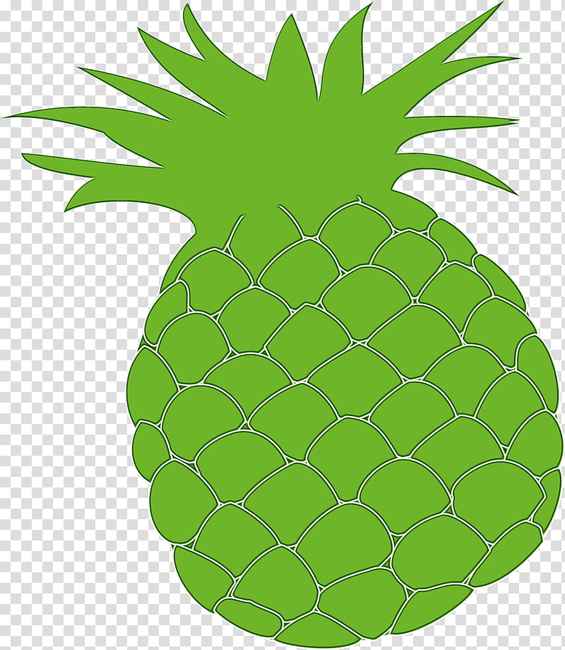 Fruit, Pineapple, Hawaii, Aloha, Hawaii Aloha, Crows, Luau, Drawing transparent background PNG clipart