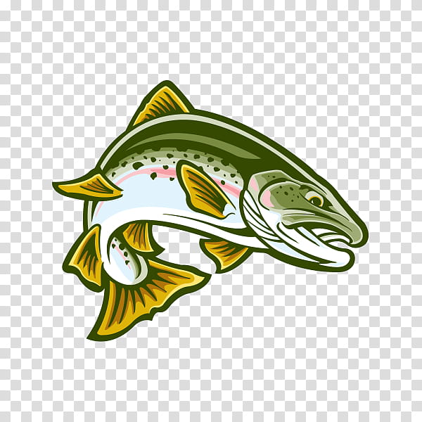 fish fish cartoon fin trout, Bass transparent background PNG clipart