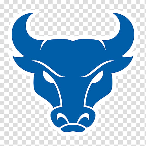 blue bulls logo