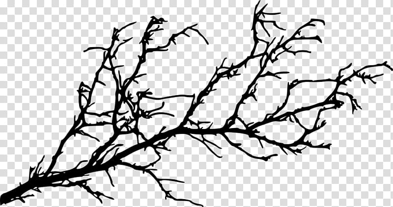 Oak Tree Silhouette, Branch, Twig, White Oak Tree, Drawing, Leaf, Tree House, Line Art transparent background PNG clipart