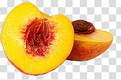 fruit, sliced orange fruit transparent background PNG clipart