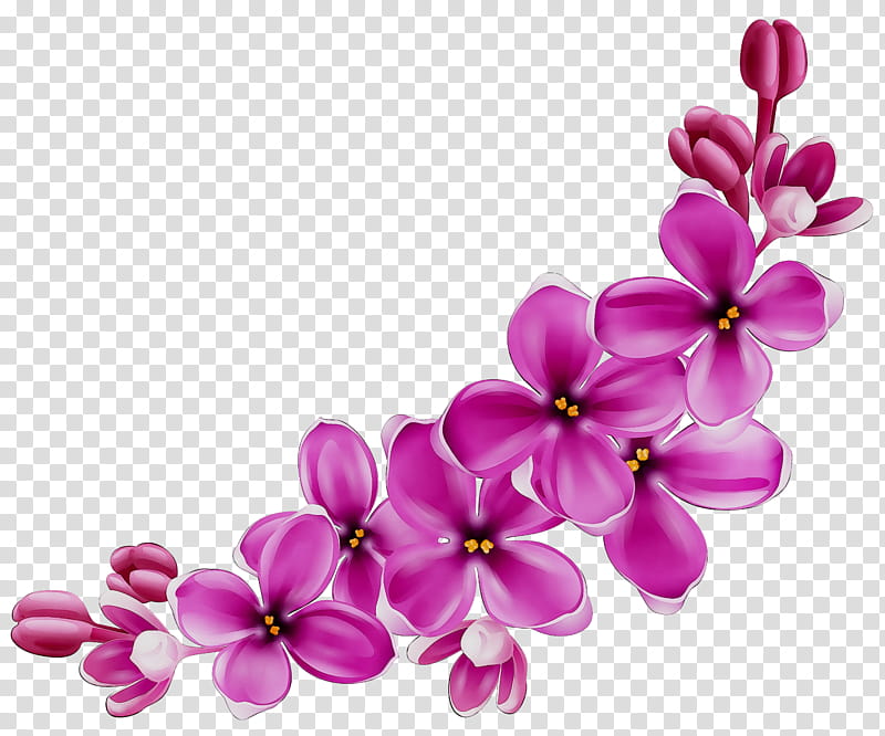 Pink Flower, Insurance, Life Insurance, Central Insurance Of Ir Iran, Instagram, Alborz Insurance Company, 2018, Hashtag transparent background PNG clipart