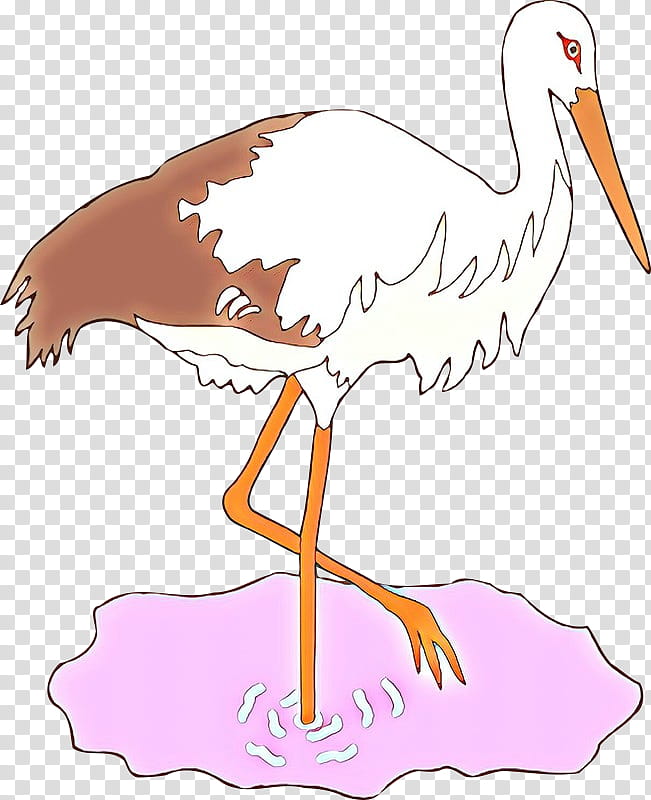 bird beak stork white stork ciconiiformes, Cranelike Bird, Pink, Whooping Crane, Water Bird transparent background PNG clipart