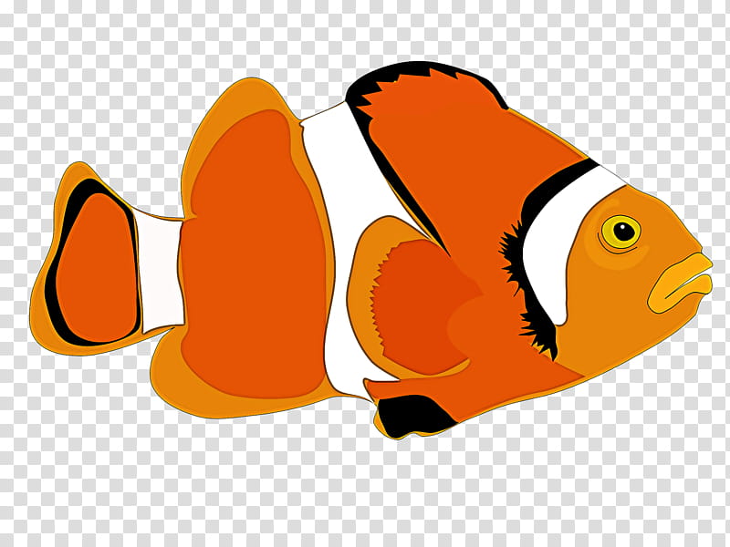 anemone fish pomacentridae fish clownfish fish, Butterflyfish, Seafood transparent background PNG clipart