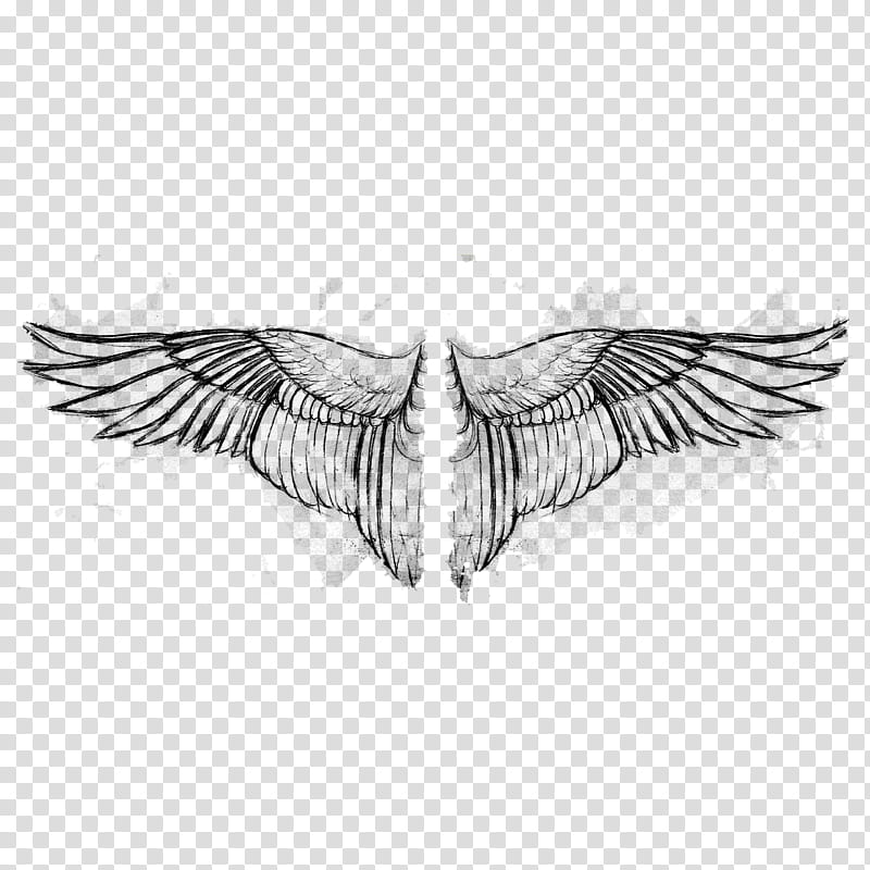 Grungy Graphite Wings resource transparent background PNG clipart