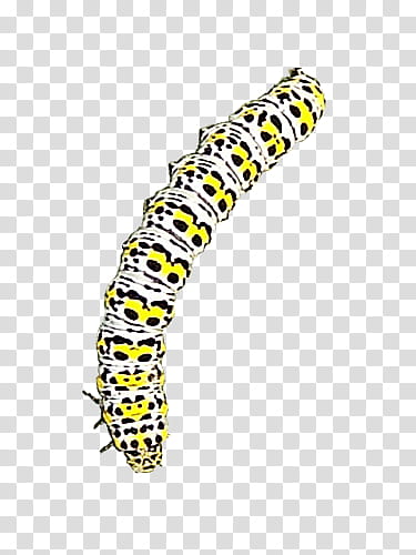 Caterpillar, Chenille, yellow and white caterpillar transparent background PNG clipart