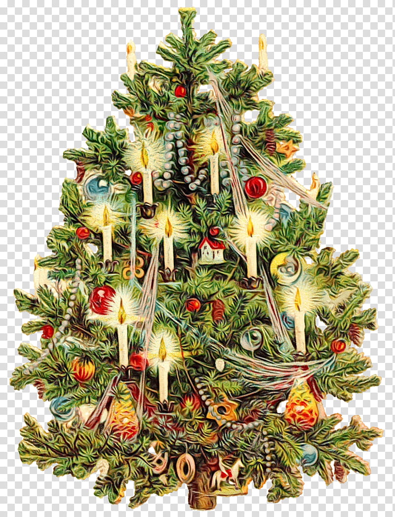 Christmas tree, Watercolor, Paint, Wet Ink, Christmas Decoration, Oregon Pine, Christmas Ornament, Colorado Spruce transparent background PNG clipart