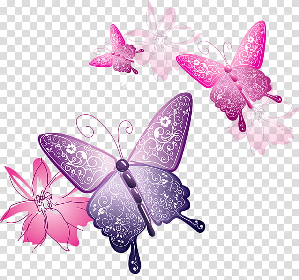 Res Decorative Butterflies, pink and purple butterflies transparent background PNG clipart